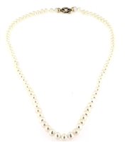 Collier Femme Collana Perle in Or Perla FGCO00438